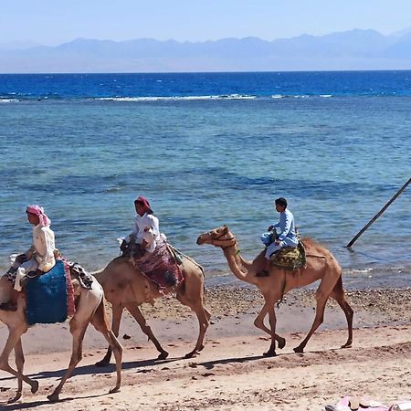 Cinderella Camp Nuweiba Hotel Exterior photo