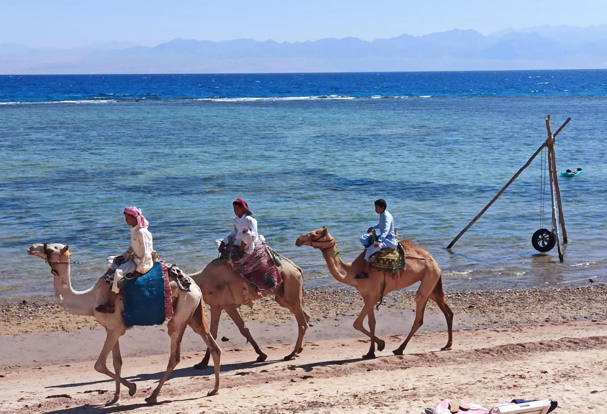 Cinderella Camp Nuweiba Hotel Exterior photo